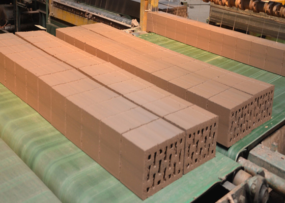 QTQD-1 모델 점토 벽돌 절단 기계 1254mm 길이와 최대 절단 높이 300mm 정밀 벽돌 절단