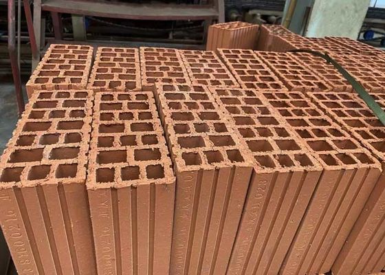 터널 오븐 터널 드라이어 및 큰 용량 800 톤 / 일로 점토 홀로 블록 제조를위한 자동 생산 라인